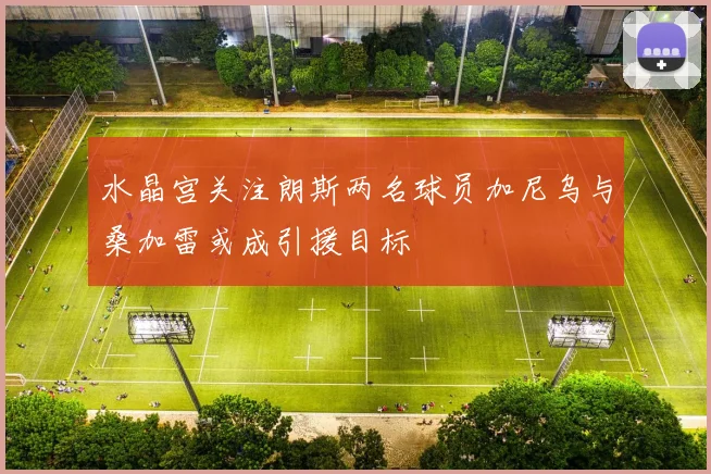 水晶宫关注朗斯两名球员加尼乌与桑加雷或成引援目标